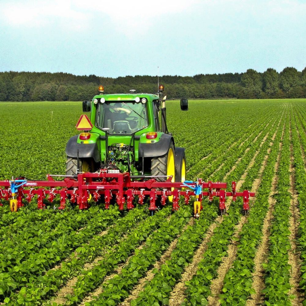5 Farmers Who Prove Smart Agriculture Can Make You Rich