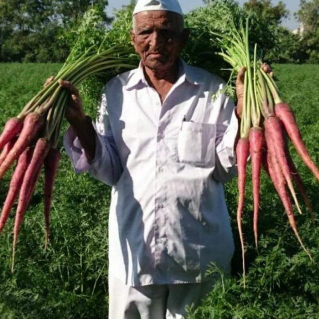 Vallabhbhai Vasrambhai Marvaniya