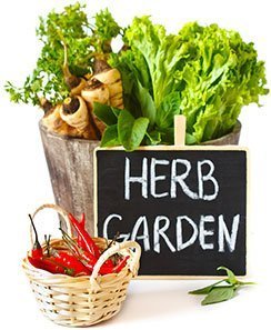 farmworld-img-herbs